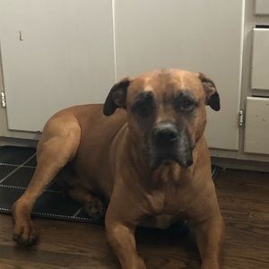 Meet your Posher, Kevin